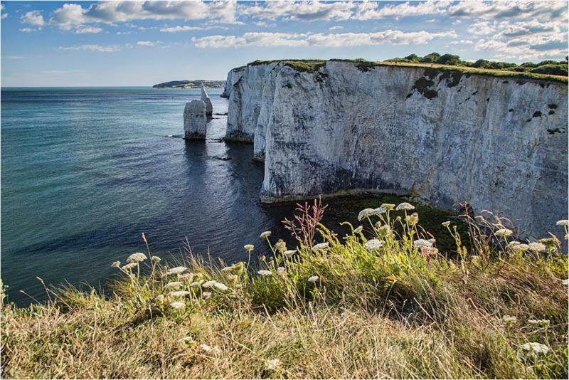 Rambler'S Lodge Swanage Dış mekan fotoğraf